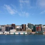 Offshore Company in New Zealand. How to start up?